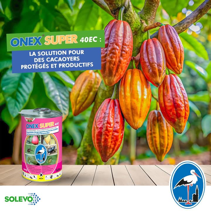 Insecticide liquide ONEX SUPER 40 EC 1 litre – Cacao, anacarde