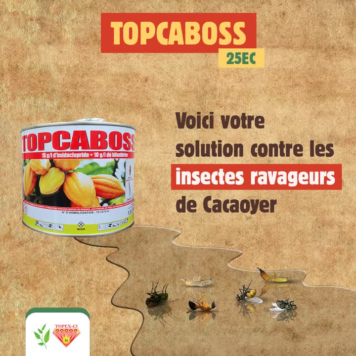 Insecticide liquide TOPCABOSS SUPER 50 EC 1,5 litre – Spécial cacao