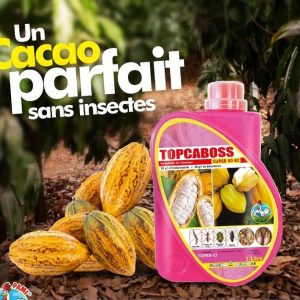 Insecticide liquide TOPCABOSS SUPER 50 EC 1 litre – Spécial cacao