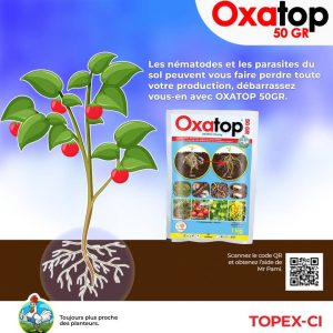 Nématicide granulé OXATOP 50 GR 1 kg – Palmier à huile, cultures maraichères et banane.