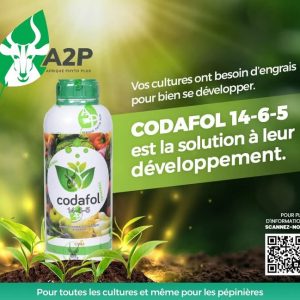 Engrais foliaire CODAFOL 14 – 6 – 5 Démarrage 1 litre – Toutes les cultures