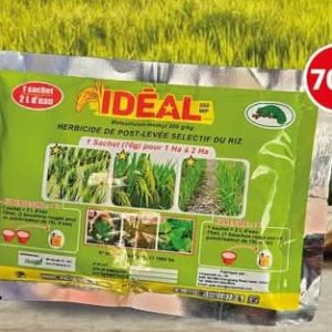 Herbicide granulé sélectif de post-levée IDEAL 200 WP 70 gr – Spécial riz