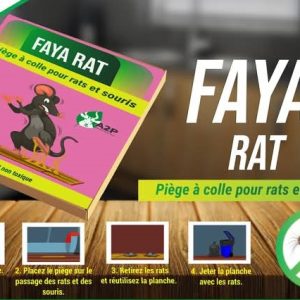 Piège à colle FAYA RAT- Domicile, bureau, hygiène publique