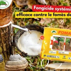 Fongicide granulé FOMA 10 GR 1 kg – Hévéa