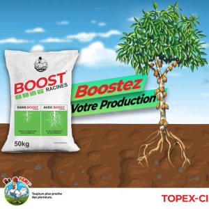 Engrais granulé BOOST RACINE 50 kg – Toutes les cultures