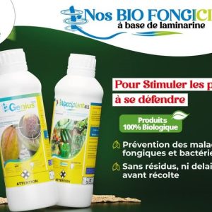 Fongicide liquide 100% Biologique GENIUS 19.5 SL 1 litre – Spécial cacao
