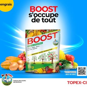 Engrais granulé potassique  BOOST 1 kg – Toutes les cultures