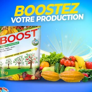Engrais granulé potassique BOOST 1 kg – Toutes les cultures