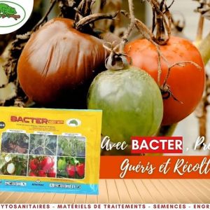 Fongicide et bactéricide granulé BACTER 660 WP 1 kg – Cultures maraichères