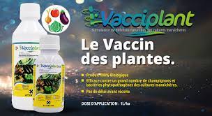 Fongicide liquide 100% Biologique VACCIPLANT 45 SL 1 litre – Cultures maraichères
