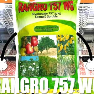 Herbicide granulé non-sélectif RANGRO 757 WG 1 kg – Toutes les cultures