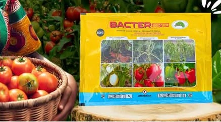 Fongicide et bactéricide granulé BACTER 660 WP 500 gr – Cultures maraichères