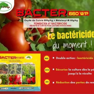 Fongicide et bactéricide granulé BACTER 660 WP 1 kg – Cultures maraichères