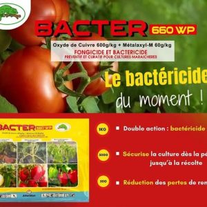 Fongicide et bactéricide granulé BACTER 660 WP 50 gr – Cultures maraichères