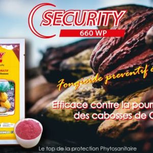 Fongicide granulé SECURITY 660 WP 50 gr – Spécial cacao