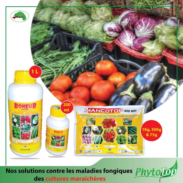 Fongicide liquide BONEUR 250 EC 200 ml – Cultures maraichères et florales, espaces verts, etc.