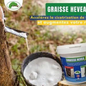 Graisse cicatrisante GRAISSE HEVEA 1 kg – Spécial hévéa