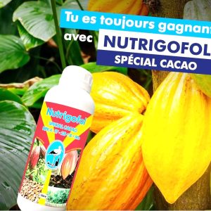 Engrais foliaire NUTRIGOFOL NPK 4-17-28 1 litre – Spécial cacao