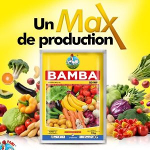 Fongicide granulé sélectif BAMBA 80 WP 1 kg – Cultures maraichères
