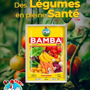 Fongicide granulé sélectif BAMBA 80 WP 1 kg – Cultures maraichères