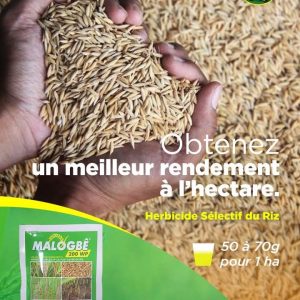 Herbicide granulé sélectif MALOGBE 800 WG 1 kg – Spécial riz