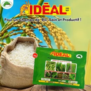Herbicide granulé sélectif de post-levée IDEAL 200 WP 70 gr – Spécial riz
