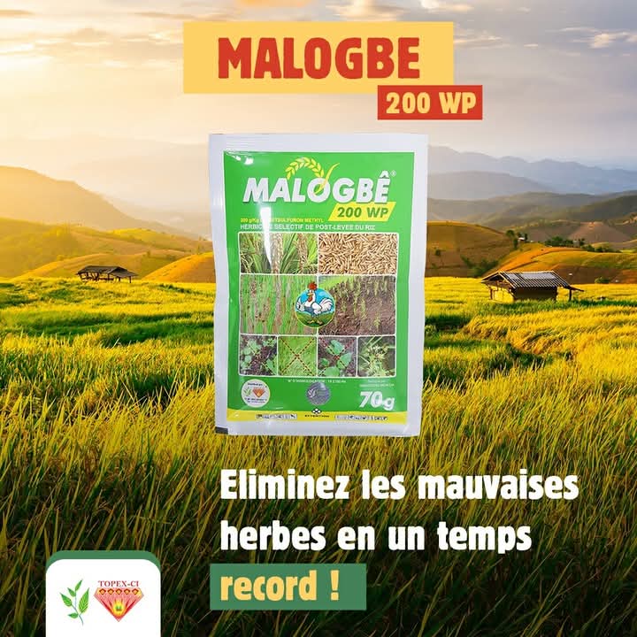 Herbicide granulé sélectif MALOGBE 800 WG 1 kg – Spécial riz
