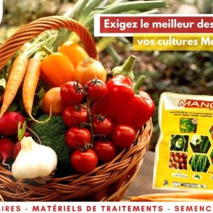 Fongicide granulé MANCOTOP 800 WP 1 kg – Cultures maraichères
