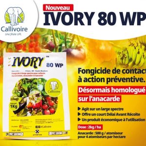 Fongicide granulé IVORY 80 WP 1 kg – Cultures maraichères, anacarde et banane