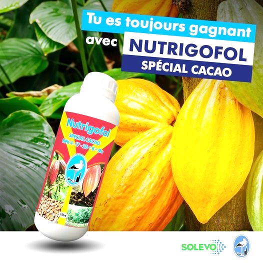 Engrais foliaire NUTRIGOFOL NPK 4-17-28 1 litre – Spécial cacao