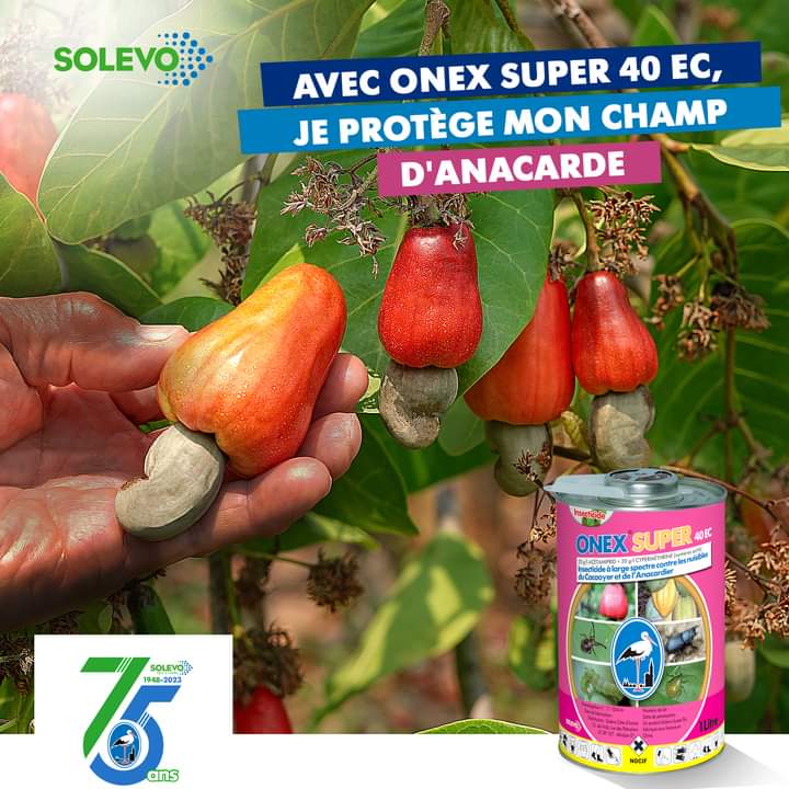 Insecticide liquide ONEX SUPER 40 EC 1 litre – Anacarde