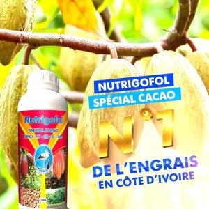 Engrais foliaire NUTRIGOFOL NPK 4-17-28 1 litre – Spécial cacao