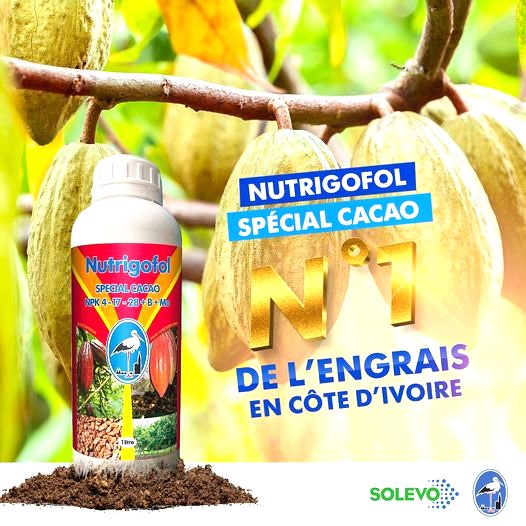 Engrais foliaire NUTRIGOFOL NPK 4-17-28 1 litre – Spécial cacao