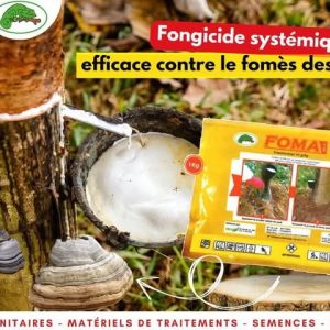 Fongicide granulé FOMA 10 GR 1 kg – Hévéa