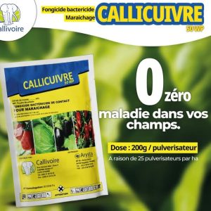 Fongicide granulé CALLICUIVRE 50 WP 1 kg – Cultures maraichères