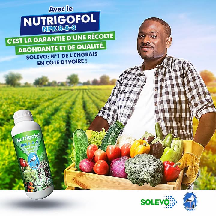 Engrais foliaire NUTRIGOFOL NPK 8-8-8 1 litre – Cultures maraichères, légumes