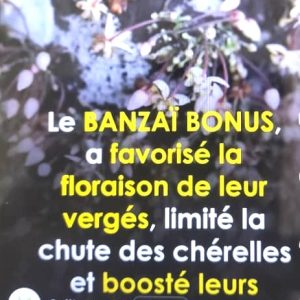 Biostimulant liquide BANZAI BONUS 800 ml (2 en 1) – Spécial cacao