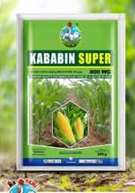 Herbicide granulé sélectif KABABIN SUPER 800 WG 1 kg – Spécial maïs