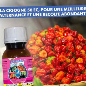 Insecticide liquide CIGOGNE 50 EC 200 ml – Cultures maraichères