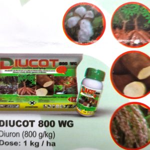 Herbicide granulé total de pré-levée DIUCOT 800 WG 1 kg – Toutes les cultures