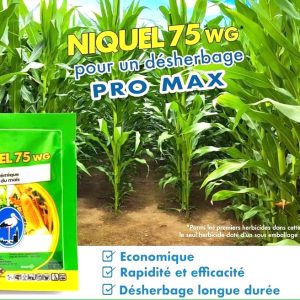 Herbicide granulé sélectif de post-levée du maïs NIQUEL 75 WG 12,5 gr
