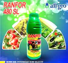 Herbicide liquide non sélectif de post-levée RANFOR 480 SL 1 litre – Toutes les cultures