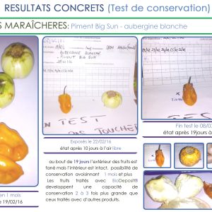 Engrais foliaire 100% Bio BIODEPOSIT ELIXIR 12 ml – Germination des cultures