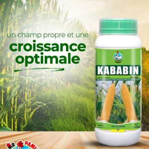 Herbicide liquide sélectif de post-levée KABABIN 40 SC 1 litre – Spécial maïs