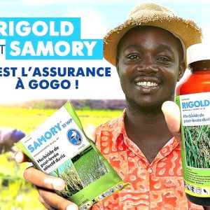 Herbicide granulé sélectif de post-levée SAMORY 10 WP 150 gr – Riz