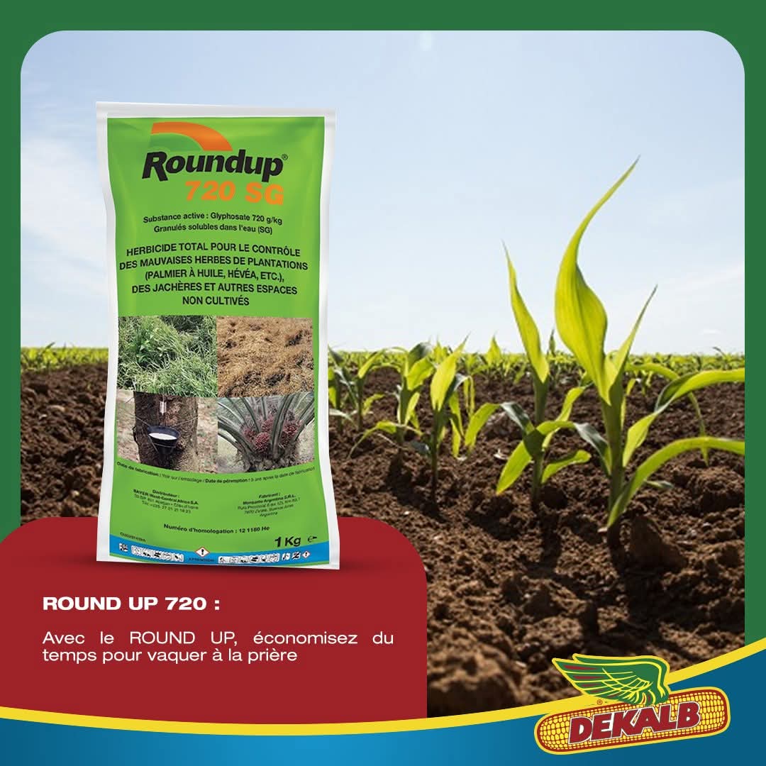 Herbicide granulé total ROUNDUP 720 SG 1 kg – Maïs, hévéa, palmier à huile