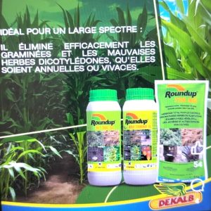 Herbicide granulé total ROUNDUP 720 SG 1 kg – Maïs, hévéa, palmier à huile