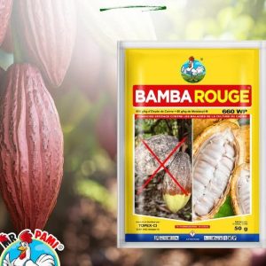 Fongicide granulé BAMBA ROUGE 660 WP 50 gr – Spécial cacao