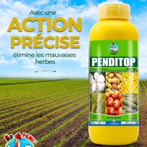 Herbicide liquide sélectif de pré-levée PENDITOP 500 EC 700 ml – Coton, arachide, maïs, riz, oignon, canne à sucre