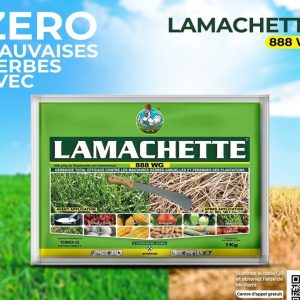 Herbicide granulé total LAMACHETTE 888 WG 1 kg – Toutes les cultures